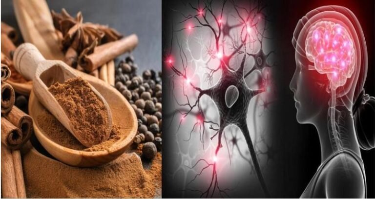 मसाले में जहरीला लेड पाया गया, 11 ब्रांड्स का माल तुरंत हटाने को कहा, स्वास्थ्य और याददाश्त पर पड़ सकता है गंभीर असर