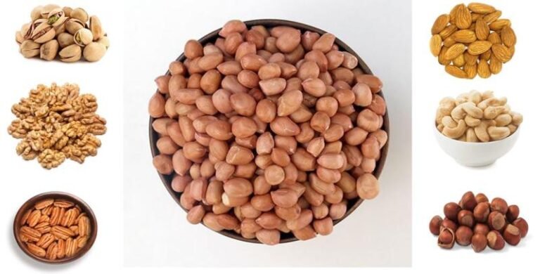 स्वस्थ दिमाग और फिट बॉडी के लिए नट्स, AIIMS के डॉक्टर ने बताया बादाम-पाइन समेत 7 नट्स का सही टाइमिंग