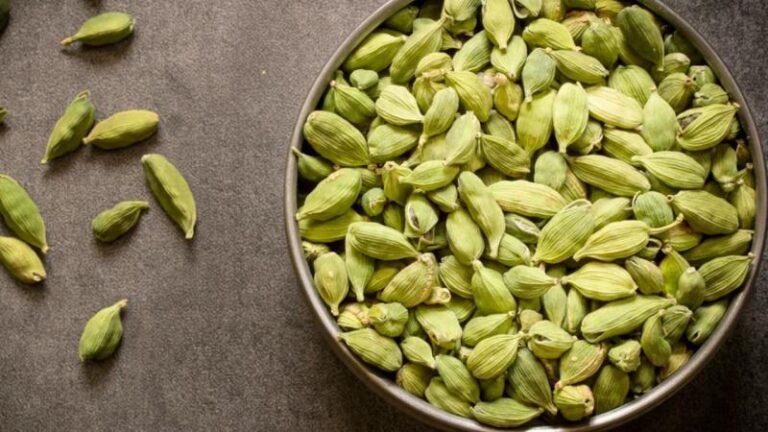 इलायची का सेवन: 5 जबरदस्त फायदे जो आपको जानना जरूरी है!… ये जबरदस्त फायदे