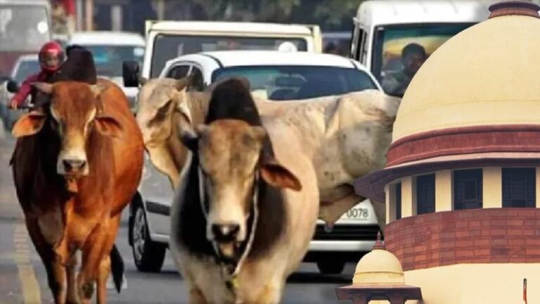 सड़कों से हटाए जाएं आवारा पशु, बने गश्ती दल