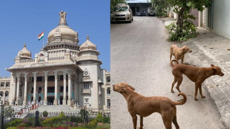 कुत्ते के काटने पर मिलेगा मुआवजा, जानिए कैसे उठाएं फायदा!